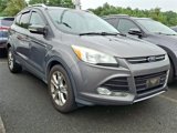 Used 2014 Ford Escape Titanium image 3