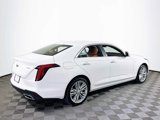 Certified 2023 Cadillac CT4 Premium Luxury image 4