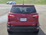 Used 2019 Ford EcoSport SE image 4