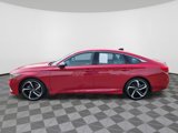 Certified 2022 Honda Accord Sport Special Edition image 5
