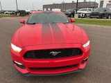Used 2017 Ford Mustang Coupe image 2
