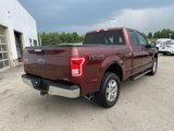 Used 2015 Ford F150 XLT w/ Equipment Group 301A Mid image 3