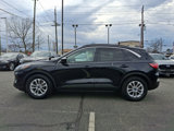 Used 2020 Ford Escape SE image 2