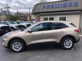 Used 2020 Ford Escape SE image 2