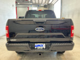 Used 2019 Ford F150 XL w/ Equipment Group 101A Mid image 3