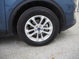 Used 2020 Ford Escape SE image 5