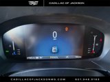 Used 2024 Ford Escape ST-Line w/ Tech Pack #1 image 5