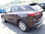 Used 2023 Ford Escape Active w/ Tech Pack #2 image 5