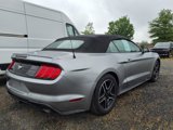 Used 2023 Ford Mustang Premium image 4