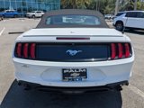 Used 2020 Ford Mustang Premium image 5