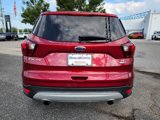 Used 2019 Ford Escape SE image 4