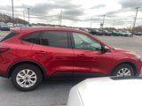 New 2025 Ford Escape Active w/ Cold Weather Package image 4