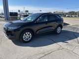 Used 2023 Ford Escape Active w/ Tech Pack #2 image 3