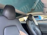 Used 2019 Tesla Model 3 Standard Range Plus image 3
