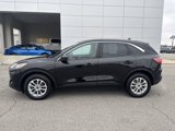 Used 2022 Ford Escape SE w/ Convenience Package image 2