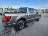 New 2024 Ford F150 STX image 5