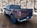 Used 2010 Ford F150 XLT image 3