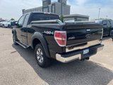 Used 2012 Ford F150 XLT w/ XLT Chrome Pkg image 5
