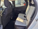 New 2025 Ford Escape Active w/ Tech Pack #1 image 6