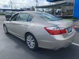 Used 2014 Honda Accord EX-L image 3