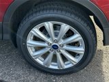Used 2019 Ford Escape SEL image 5
