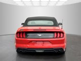 Used 2022 Ford Mustang Premium image 6