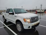 Used 2012 Ford F150 Platinum image 3