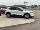Used 2022 Ford Escape SE w/ Convenience Package image 6