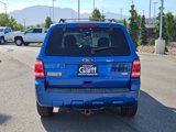 Used 2011 Ford Escape XLT w/ 202A Rapid Spec Order Code image 4
