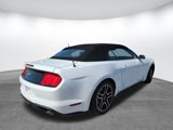 Certified 2023 Ford Mustang Premium image 5