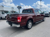 Certified 2016 Ford F150 XLT w/ Equipment Group 302A Luxury image 5