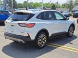 Used 2020 Ford Escape SE Sport image 5