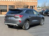 Certified 2022 Ford Escape SEL image 4