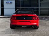 Used 2023 Ford Mustang Premium image 5