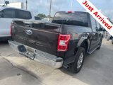 Used 2019 Ford F150 XLT w/ Equipment Group 302A Luxury image 5
