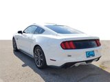 Used 2016 Ford Mustang GT Premium w/ Equipment Group 401A image 4