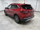 Used 2023 Ford Escape SE w/ PHEV Premium Package image 6