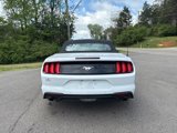 Used 2023 Ford Mustang Premium image 4