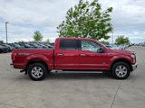 Used 2016 Ford F150 XLT w/ Equipment Group 302A Luxury image 2