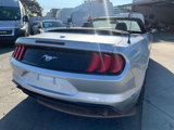 Used 2019 Ford Mustang Premium image 6