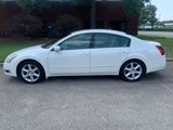 Used 2005 Nissan Maxima 3.5 SE w/ (S03) Driver Preferred Pkg image 2