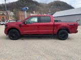 New 2025 Ford F150 XLT w/ Equipment Group 302A MID image 2