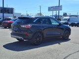 Used 2022 Ford Escape SE w/ Convenience Package image 4