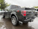 Used 2011 Ford F150 FX4 w/ FX Luxury Pkg image 3