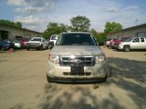 Used 2009 Ford Escape XLT image 2