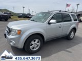 Used 2011 Ford Escape Limited w/ 302A Rapid Spec Order Code image 4