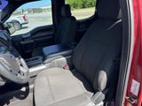Used 2016 Ford F150 XLT w/ Equipment Group 301A Mid image 2