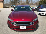Used 2019 Ford Fusion SE image 3