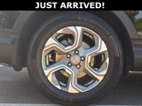 Used 2019 Honda CR-V EX-L image 5