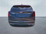 Used 2022 Cadillac XT5 Premium Luxury image 4